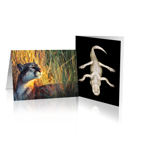 Wildlife