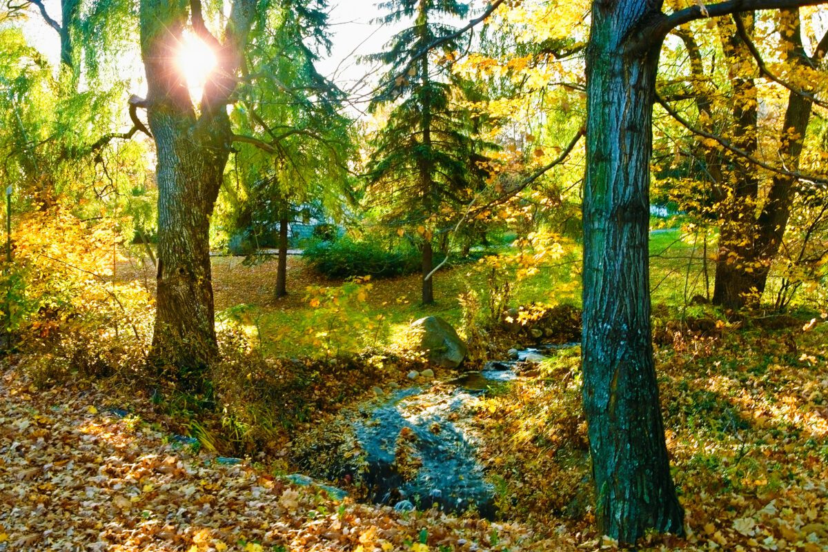 Autumn